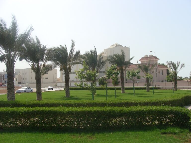 Landscape & Fountain works at Saar Junction 2