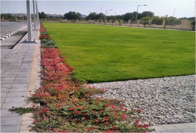 Landscaping Works at HRH Princess Sabeeka Social Centre 2