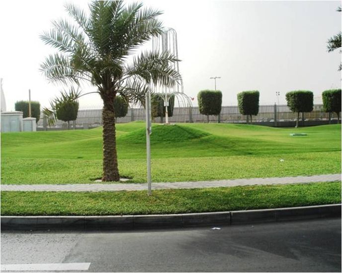 Landscaping and Irrigation Maintenance at Bahrain International Airport 2
