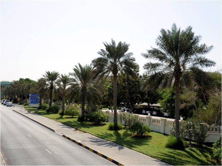 Landscaping and Irrigation Maintenance at Bahrain International Airport 3