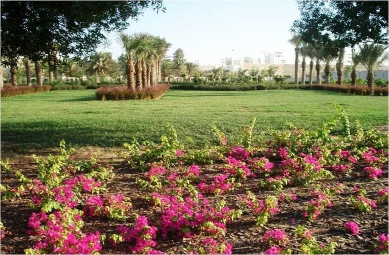 Gudaibiya Palace Completion Works 3
