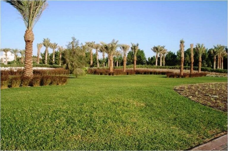 Gudaibiya Palace Completion Works 2