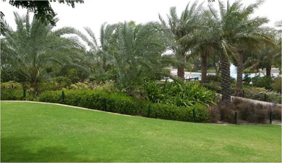 Maintenance at Awali Image 2