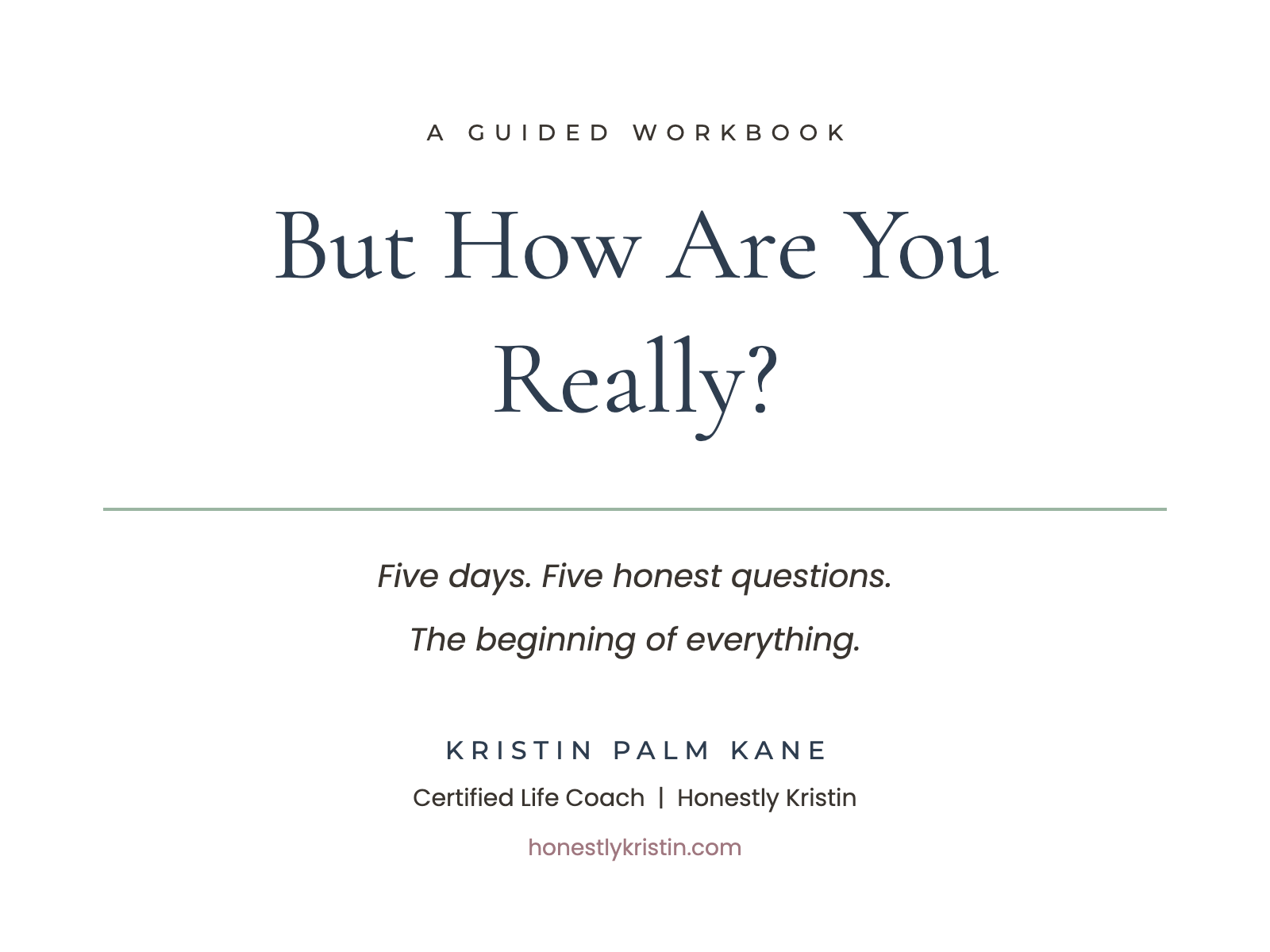 But How Are You Really? workbook cover