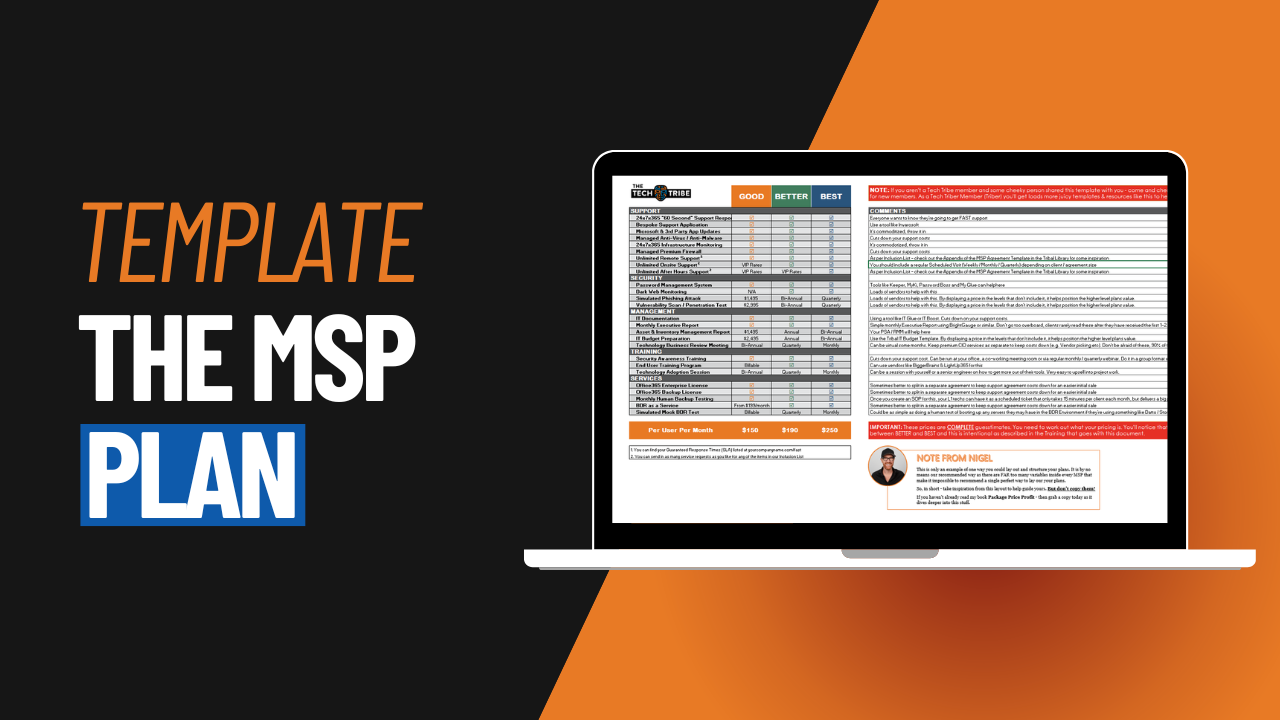 The MSP Plan Template