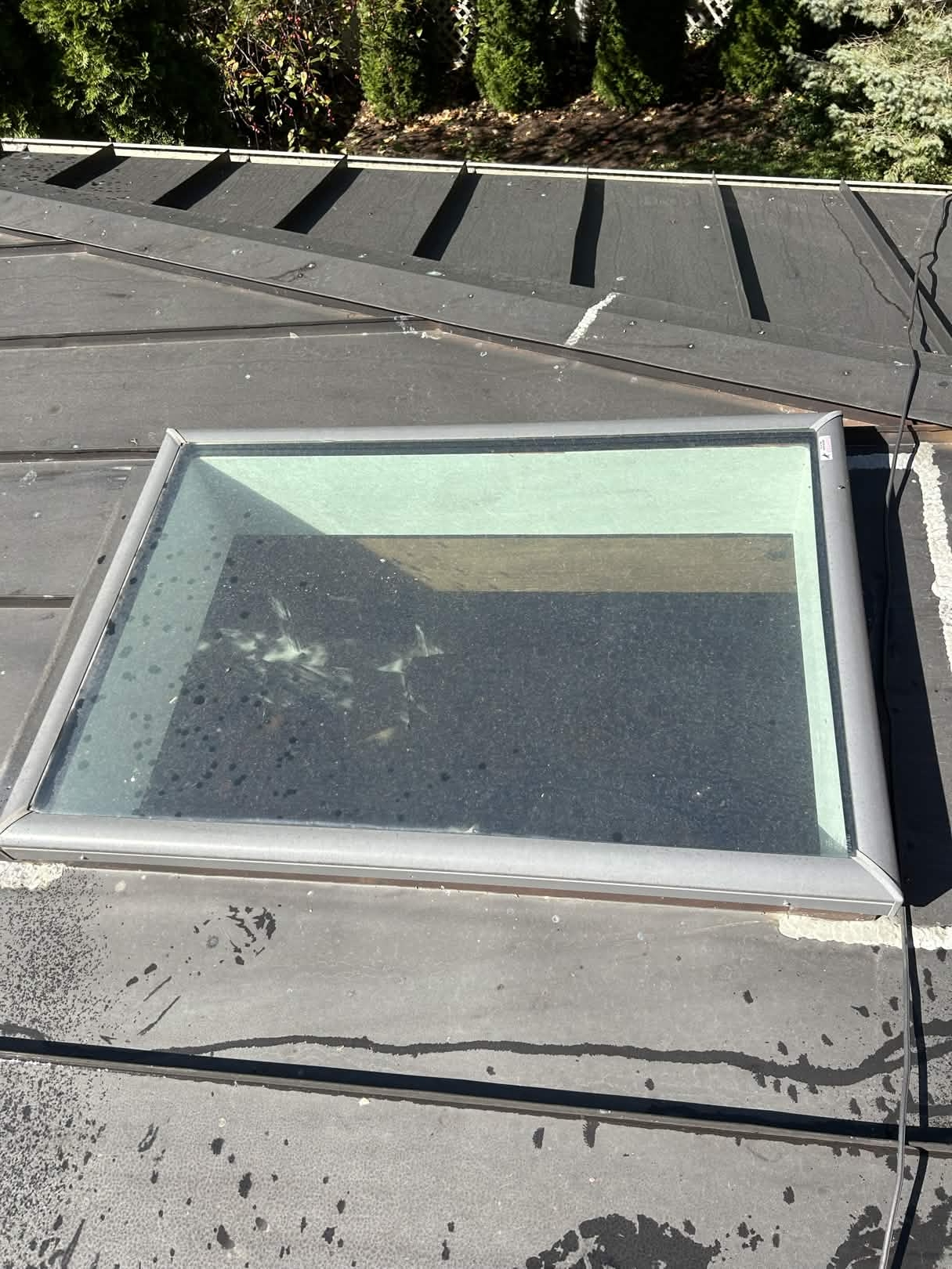 mossy roof before exterior cleaning