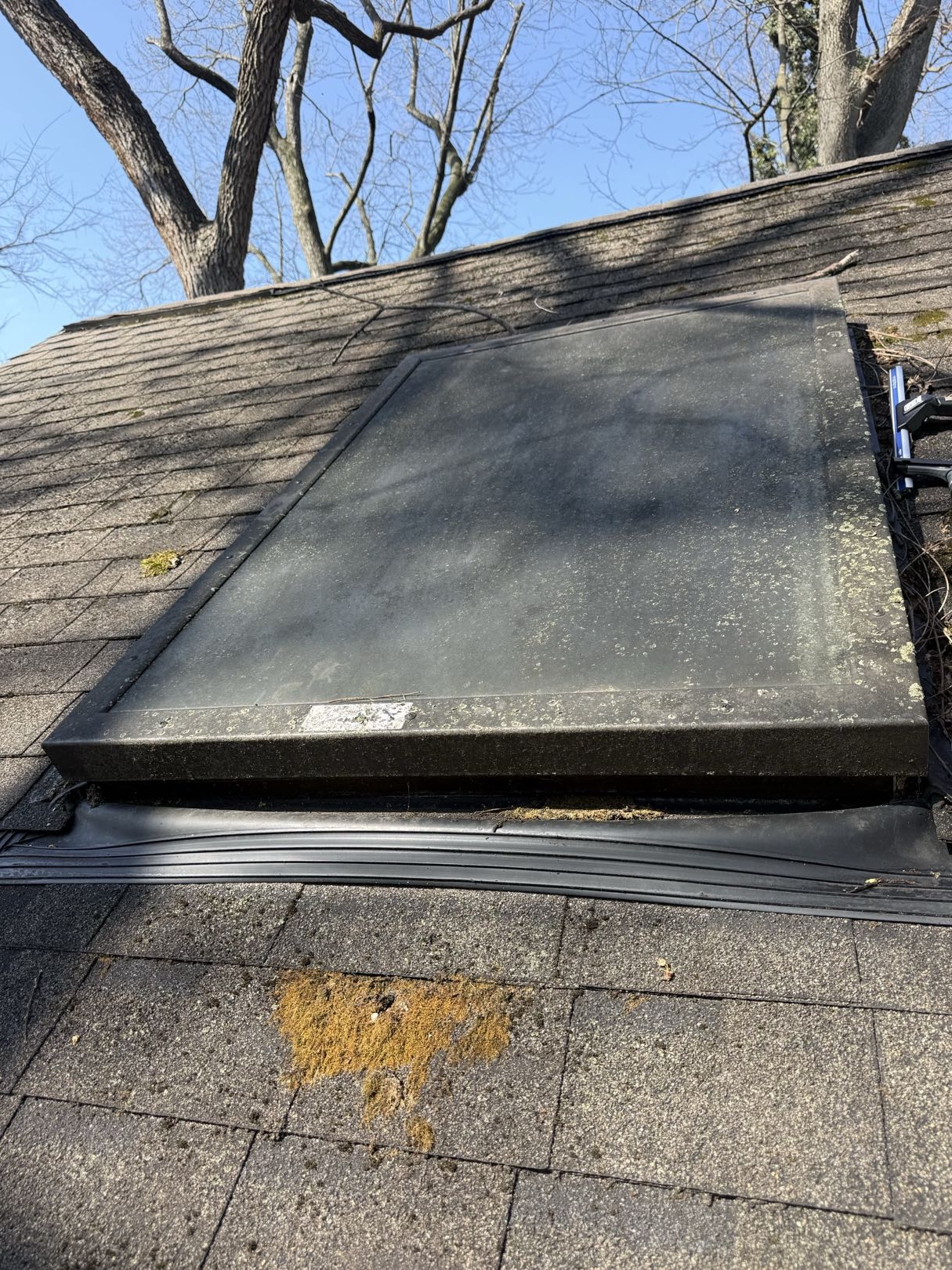 mossy roof before exterior cleaning