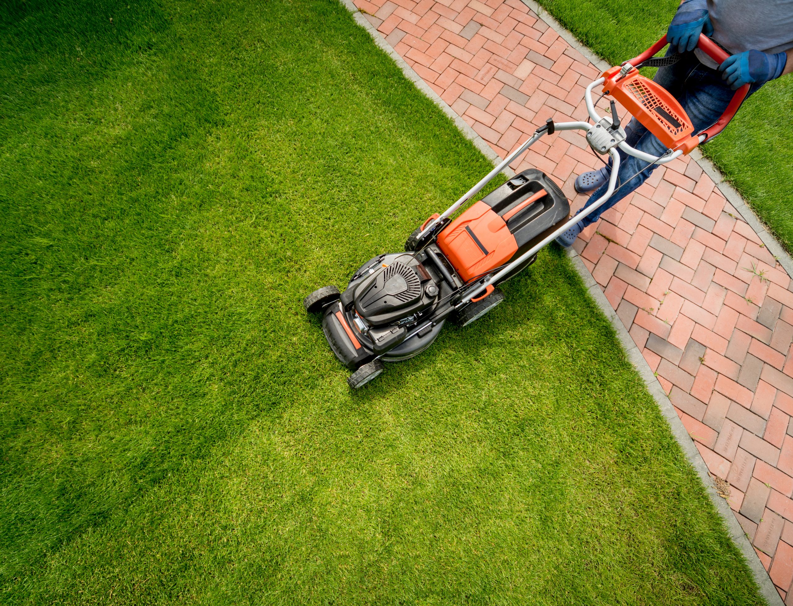 Freshly cut lawn with crisp mowing lines beside a clean walkway