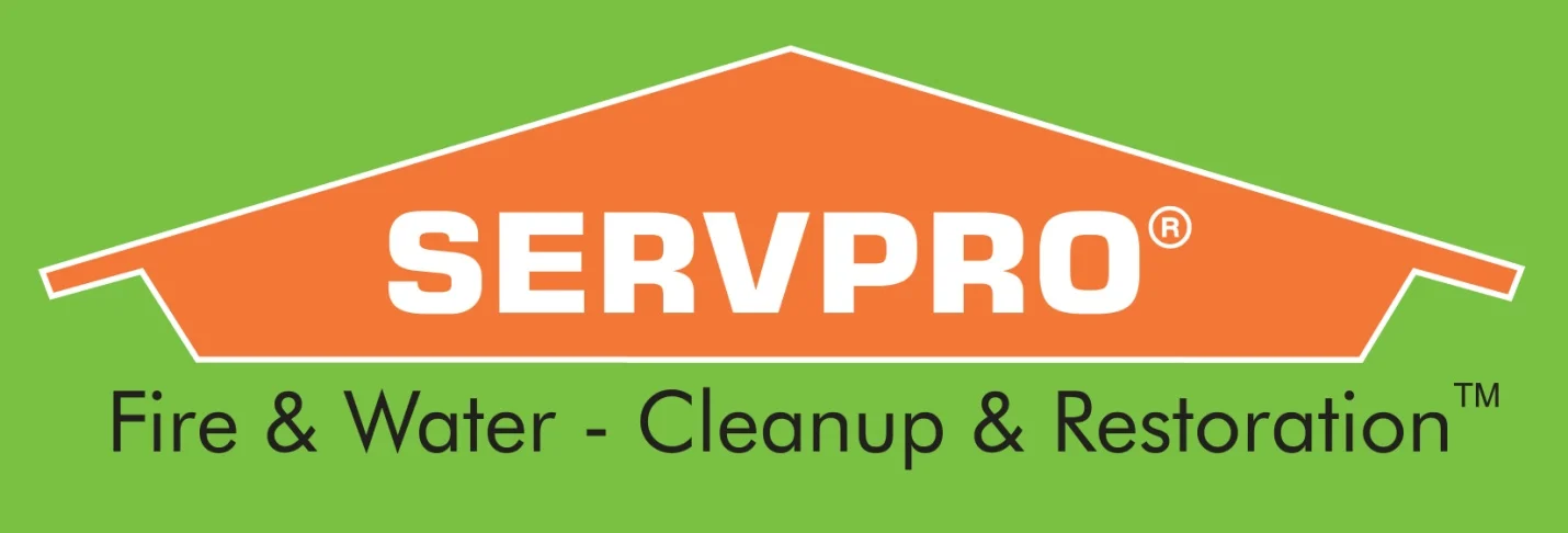 Company Logo 2