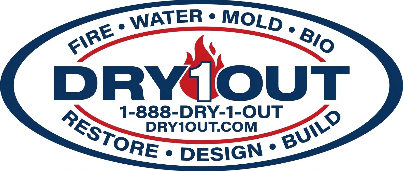 DRY1OUT logo
