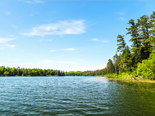Plumas Lake Full Detail