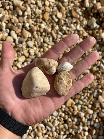 Brown River Rock
