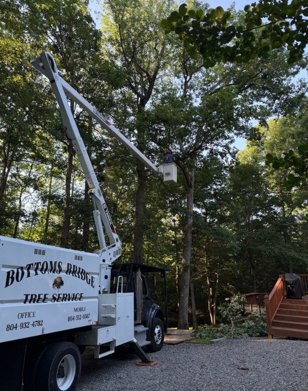 Aerial bucket truck handling high-elevation tree trimming