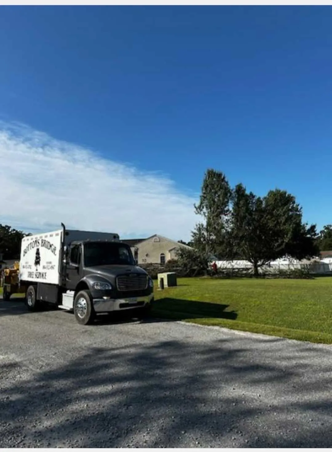 Clear open property landscape following complete tree removal and site cleanup