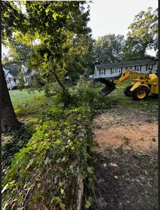 Commercial bucket lift and log loaders handling large residential yard cleanup