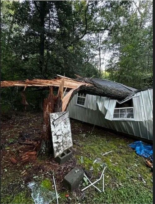 Heavy storm tree fallen directly on residential mobile home