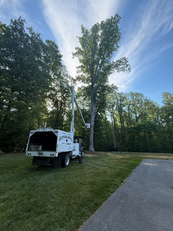 Bucket truck and high-capacity chipper working on manicured lawn in Providence Forge VA