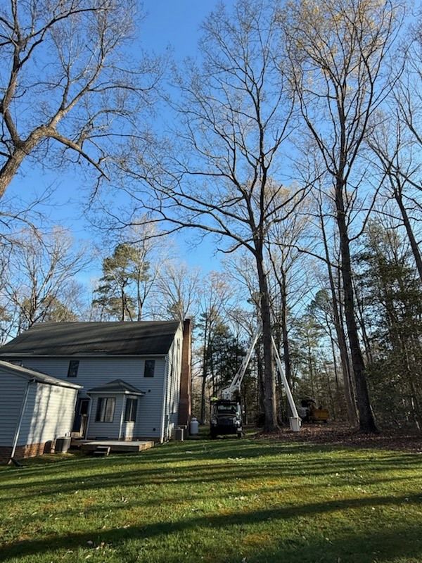 High-reach bucket truck executing tight-quarter tree removal near home roofline