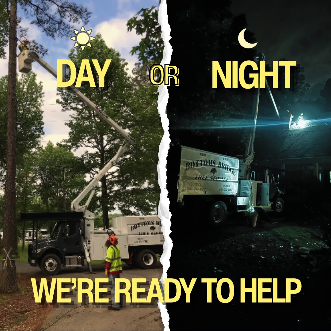 24/7 Day or night emergency tree removal response fleet