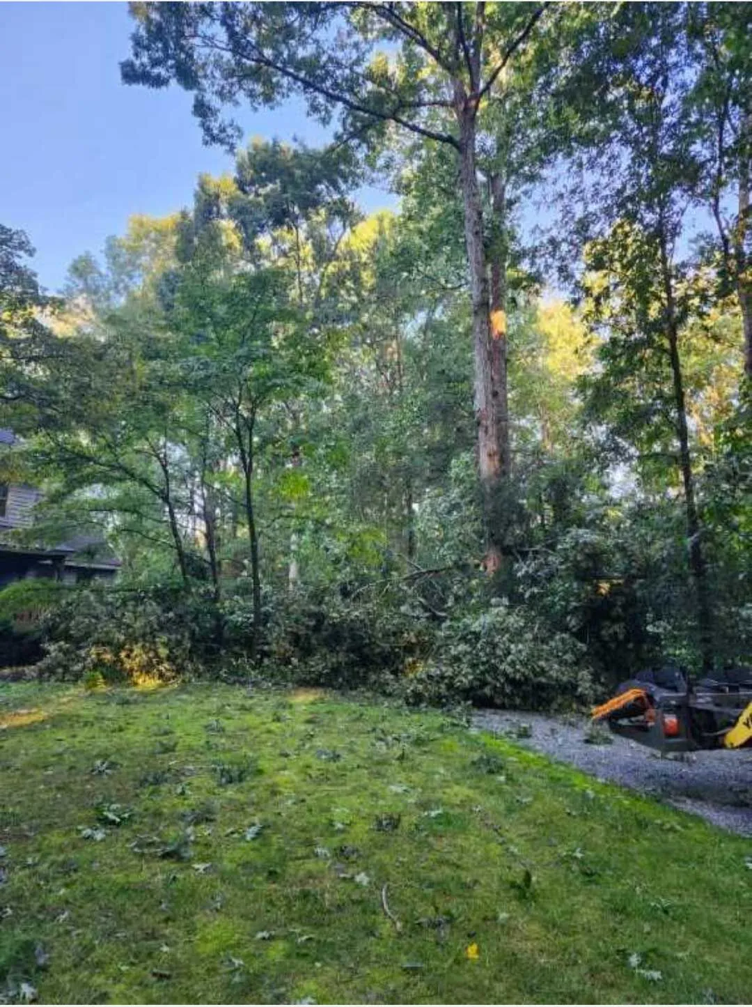 Storm damage tree cleanup and timber logging on residential property