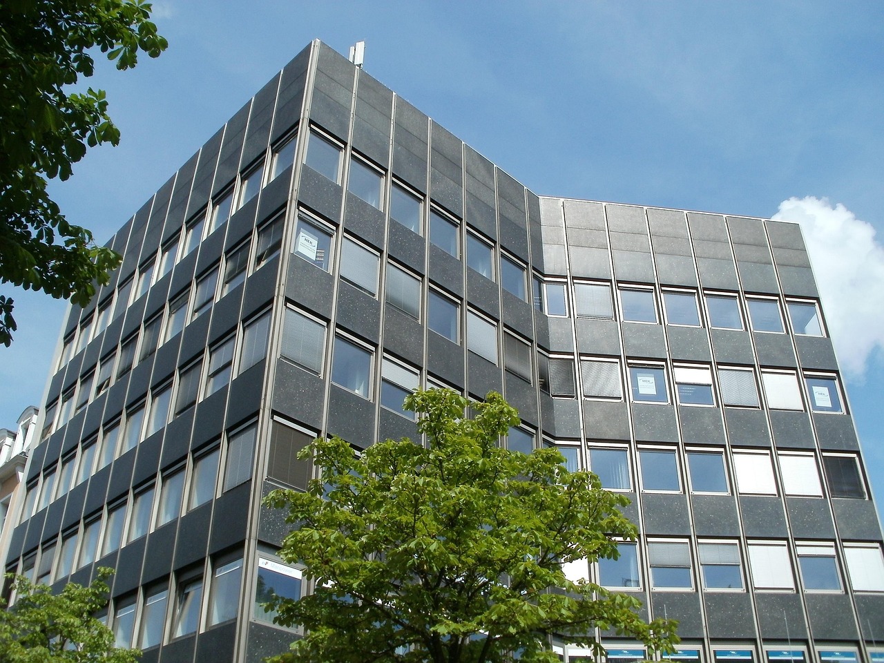 Commercial property tree maintenance