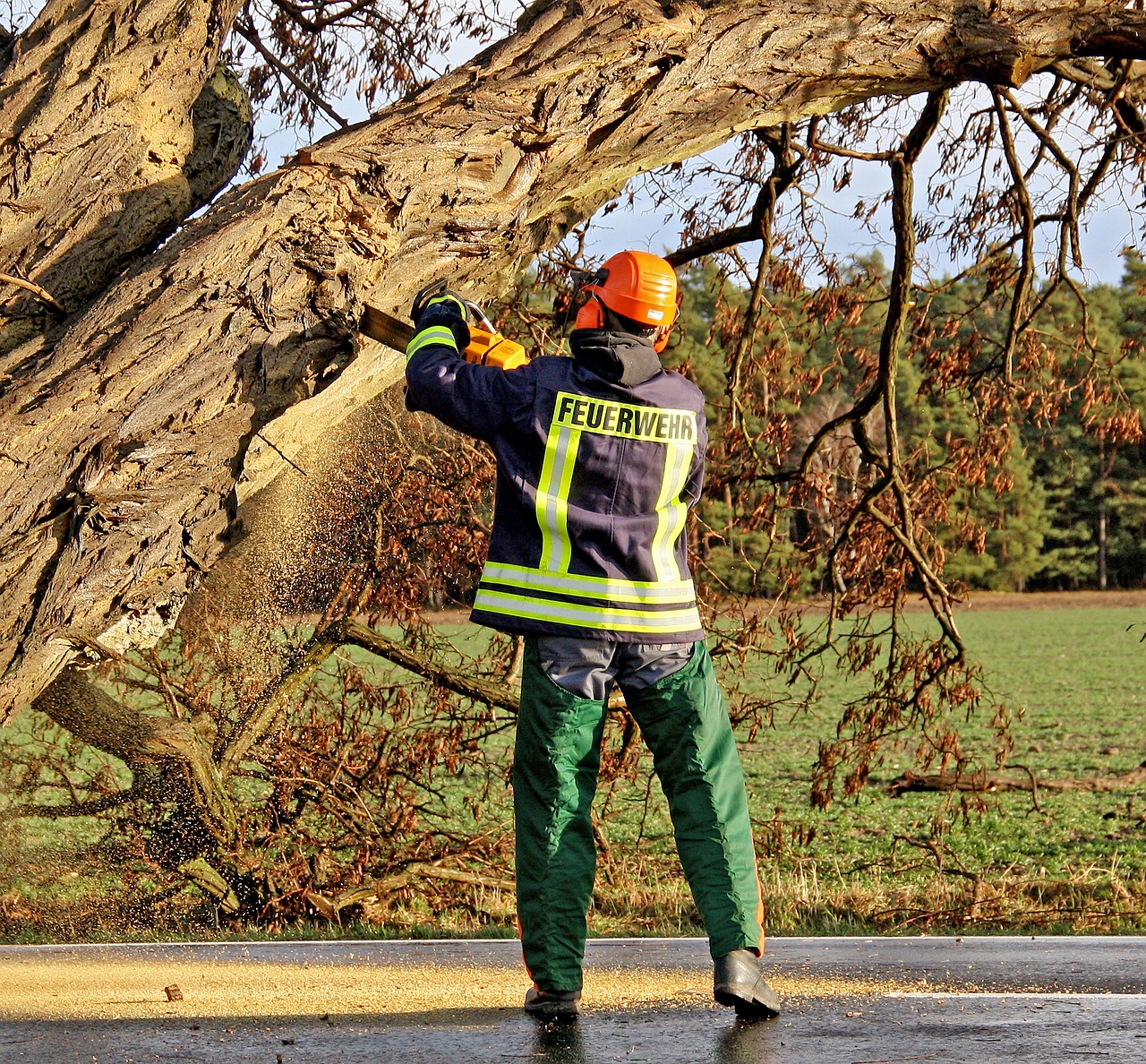 Emergency storm damage tree extraction