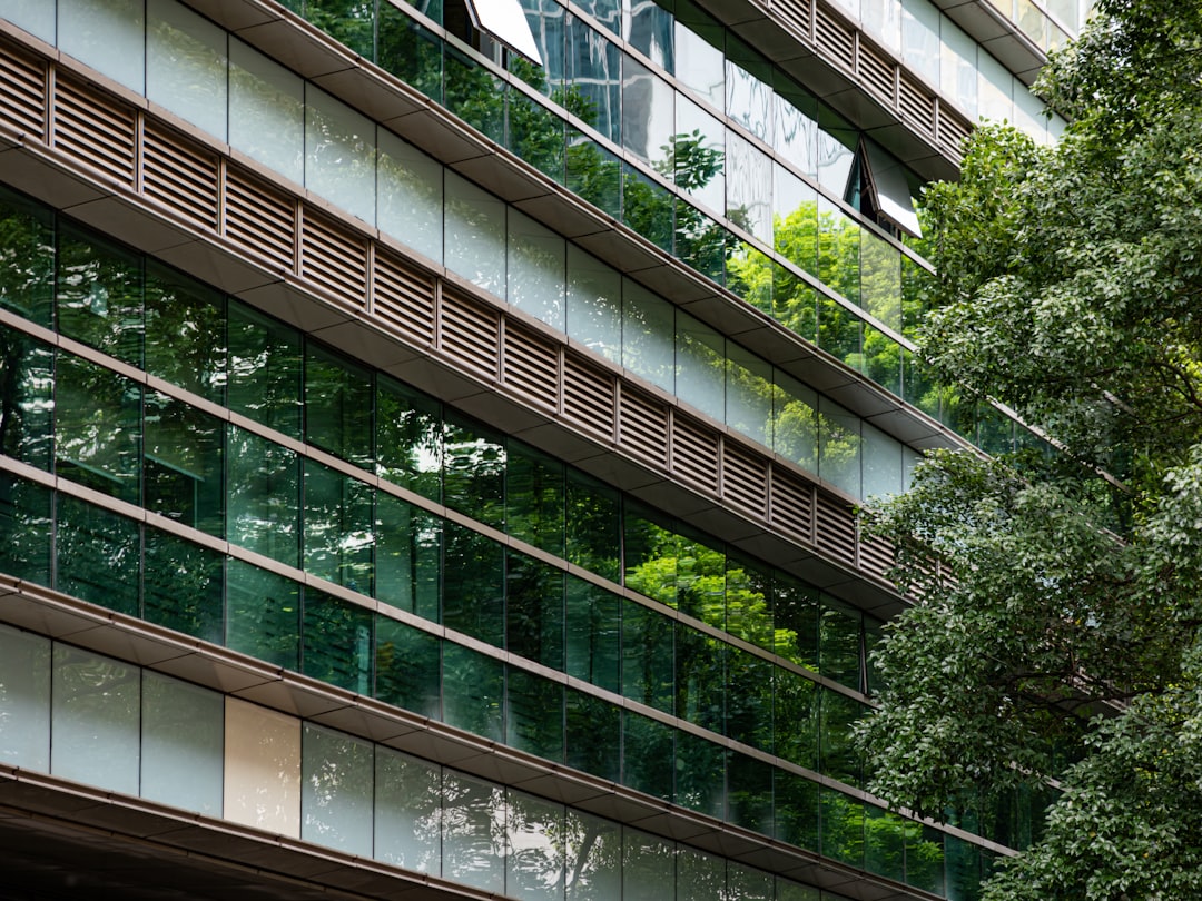 Commercial facility tree maintenance and canopy pruning
