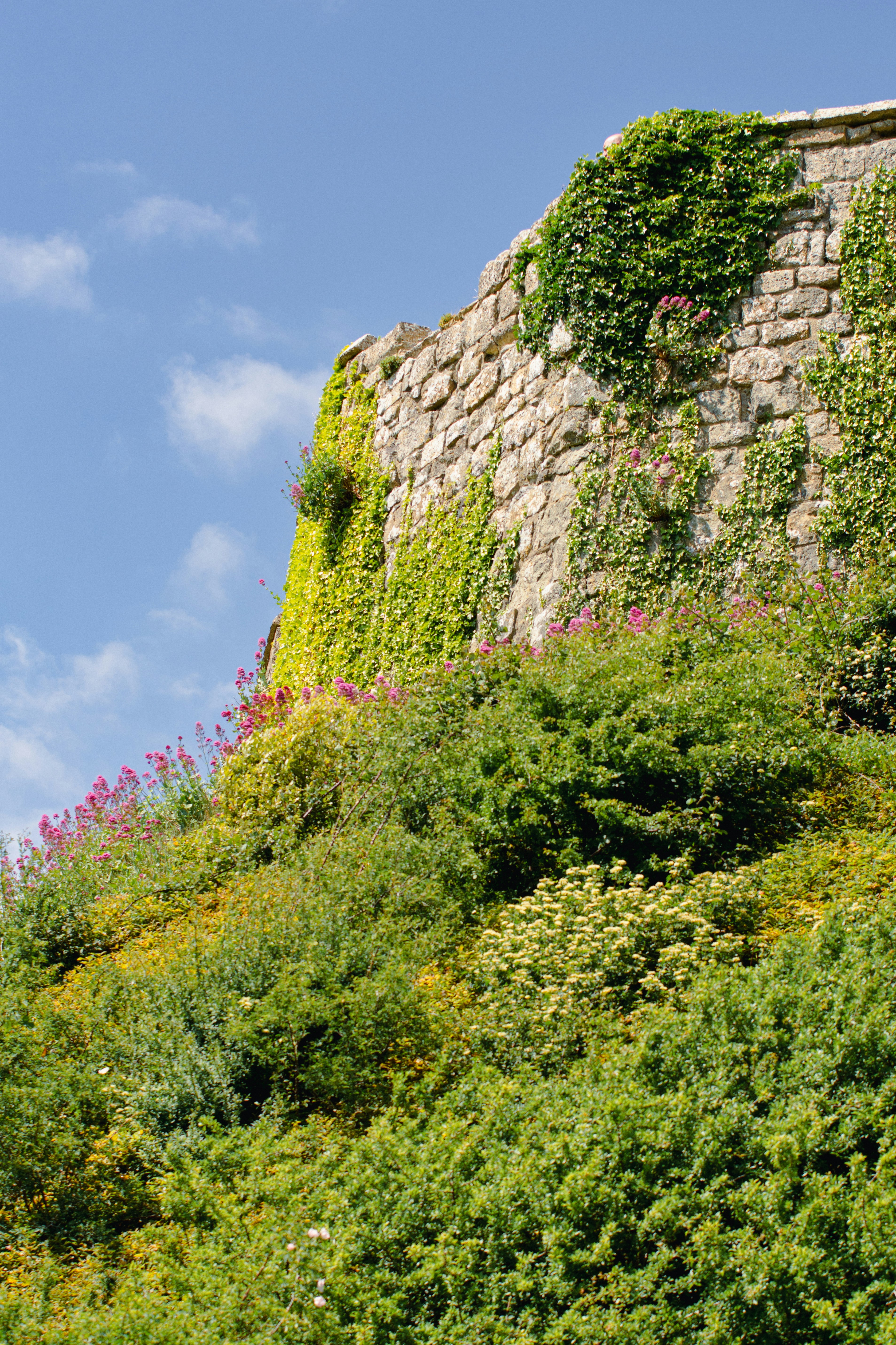 Carisbrooke Castle walls