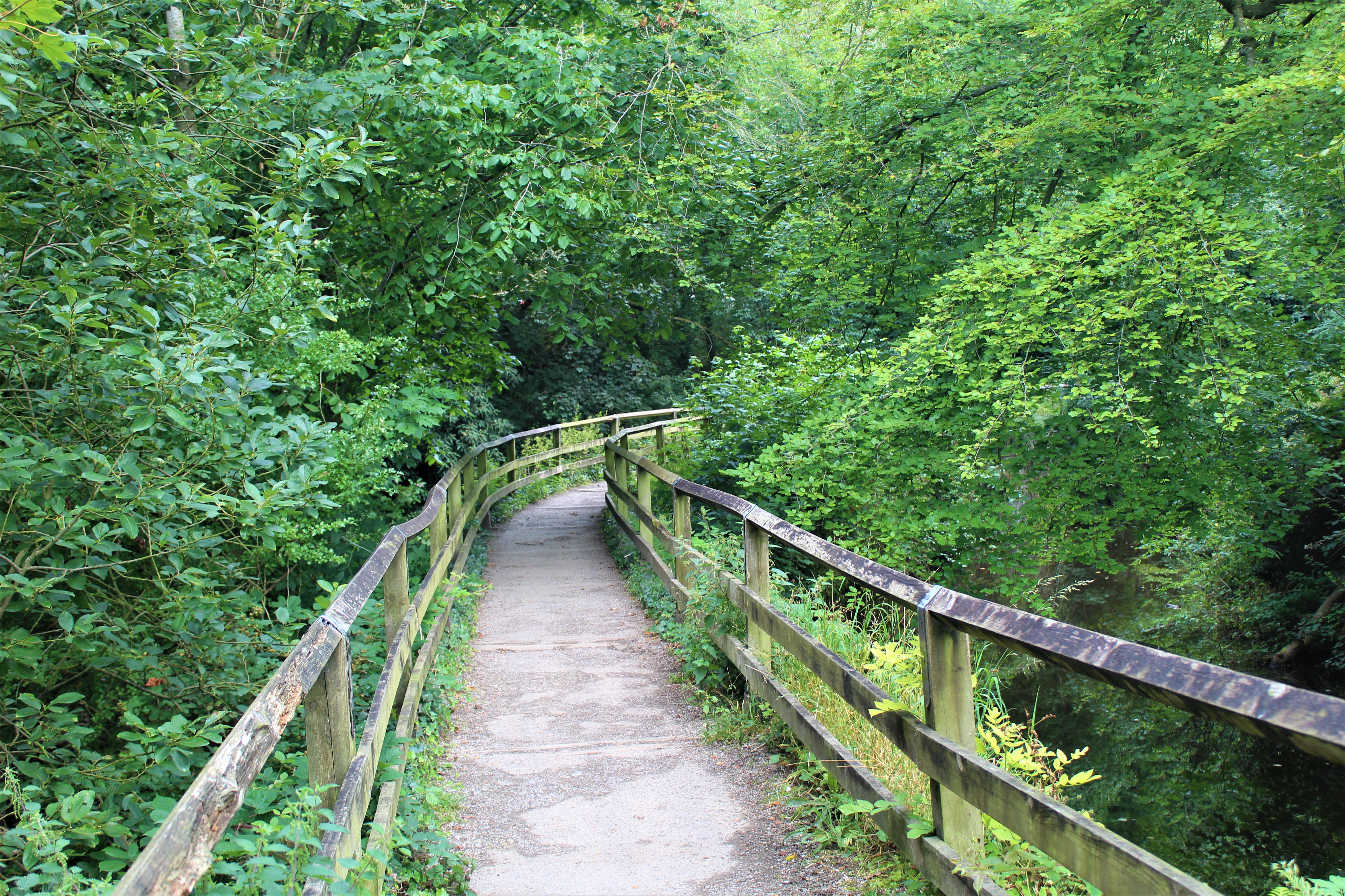 The easy route through Skipton Castle Woods