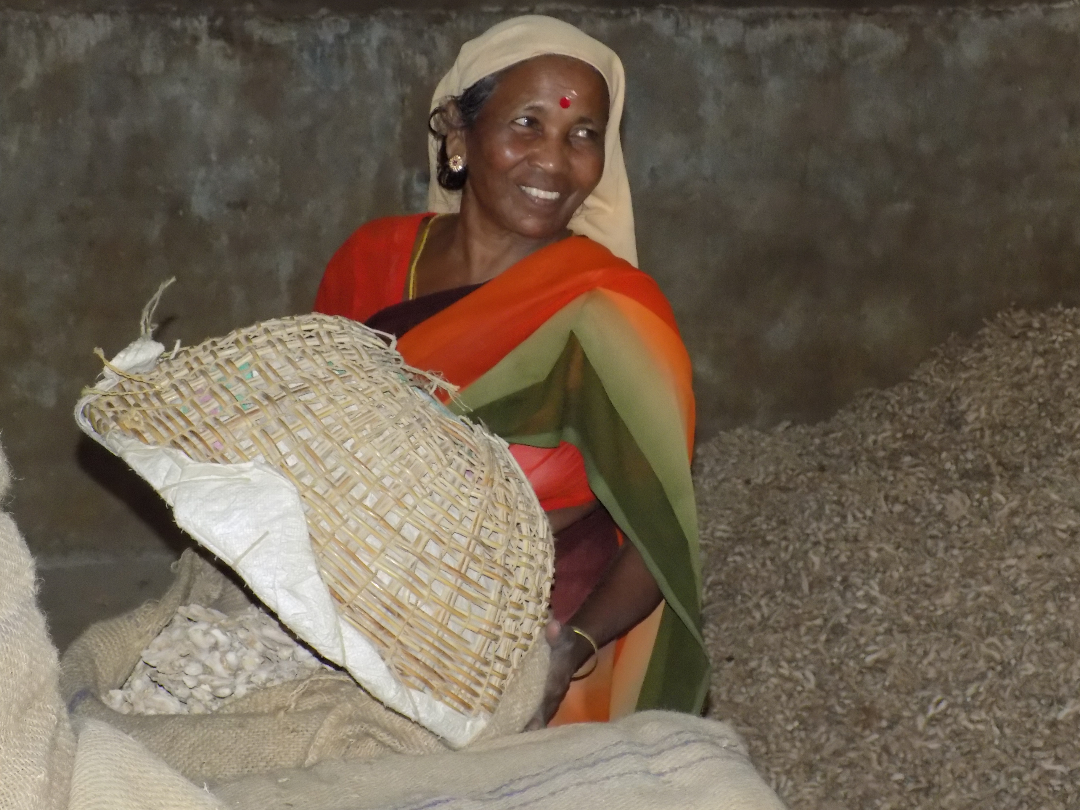 A lady sorting ginger