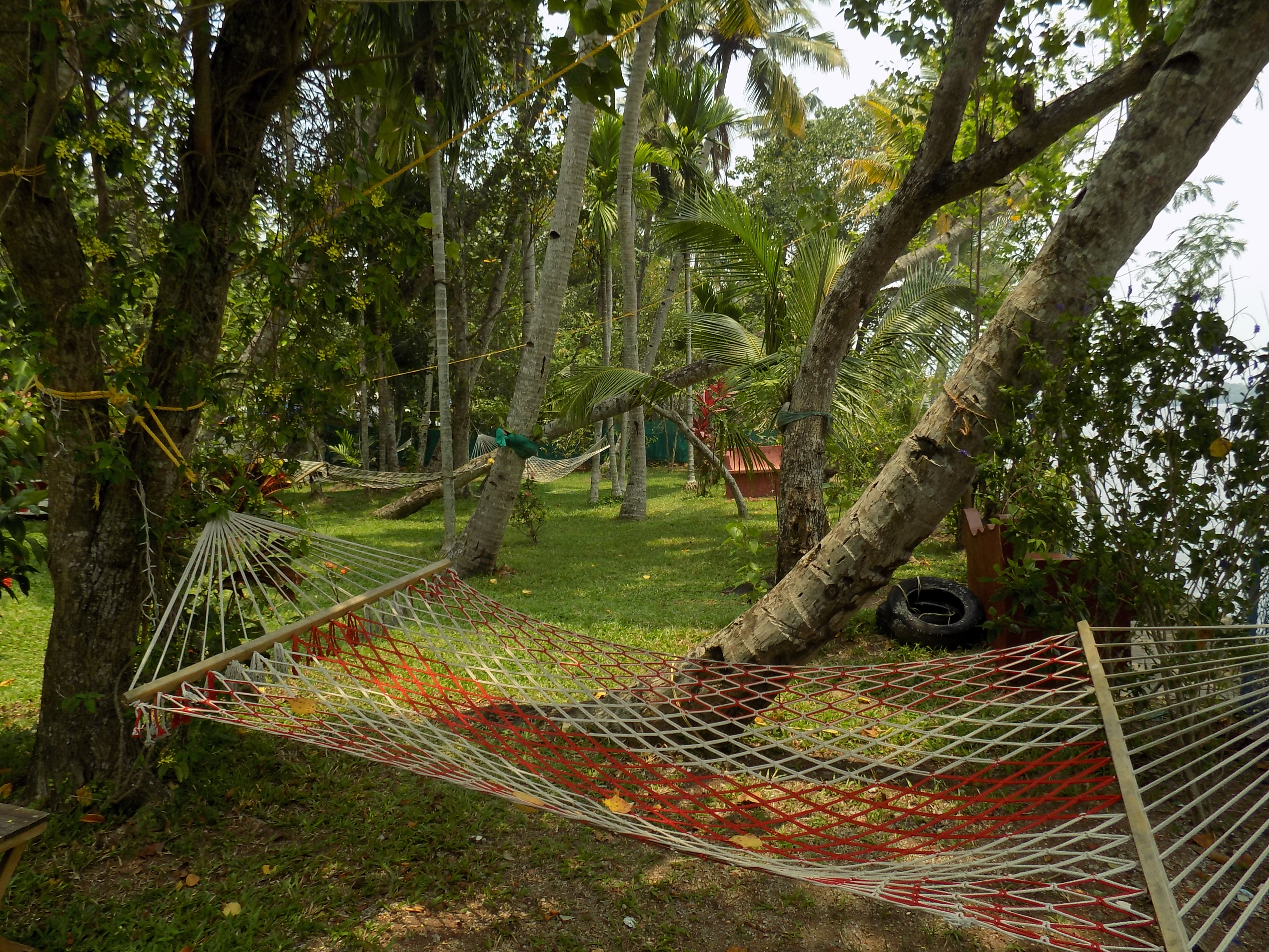 Hammocks in the garden at Ashtamudi Villas