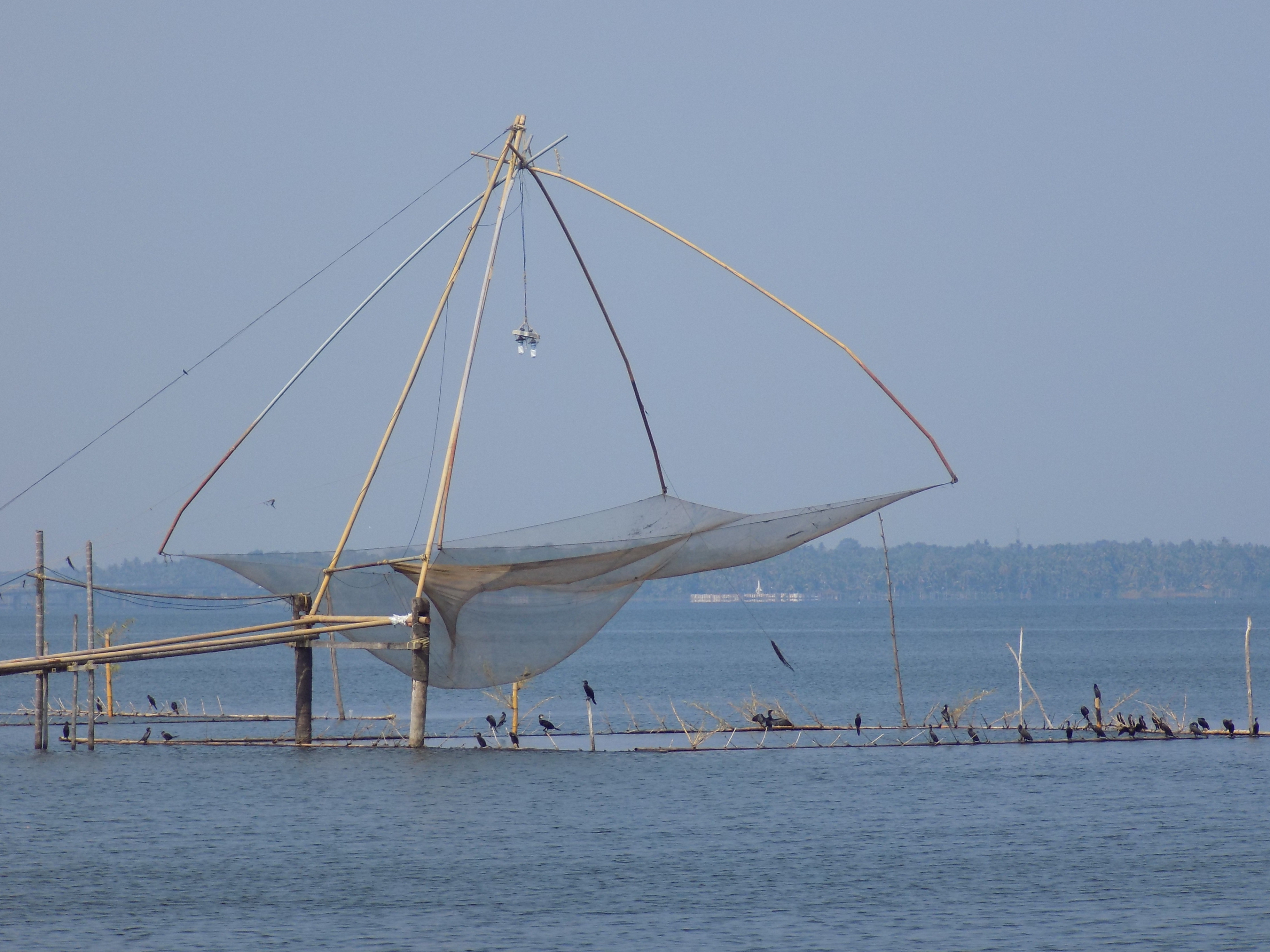 Fishing nets in the lake at Alleppey