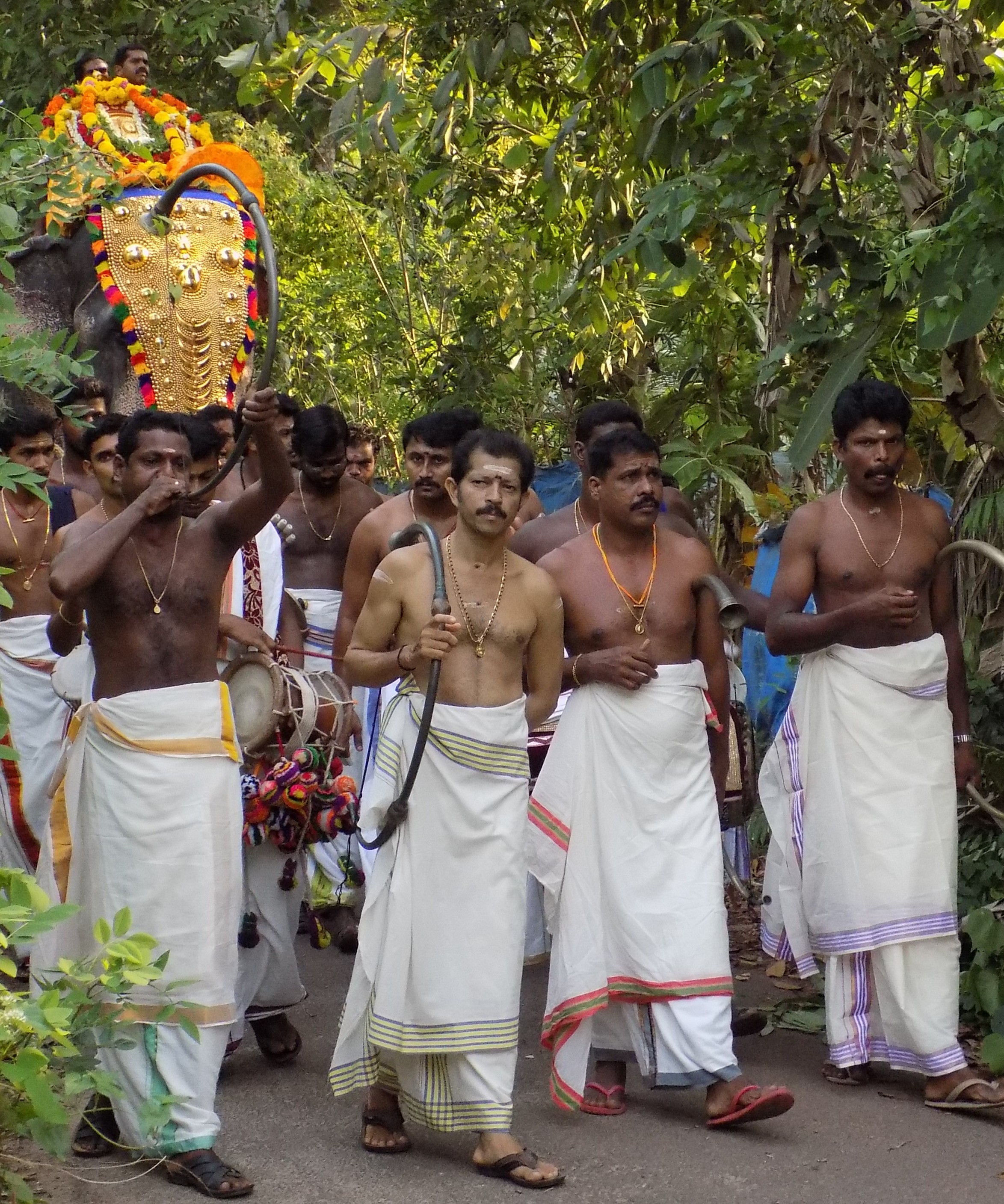 Musicians leading an elephant into the parade