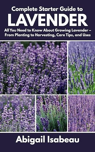 Complete starter guide to growing lavender cover
