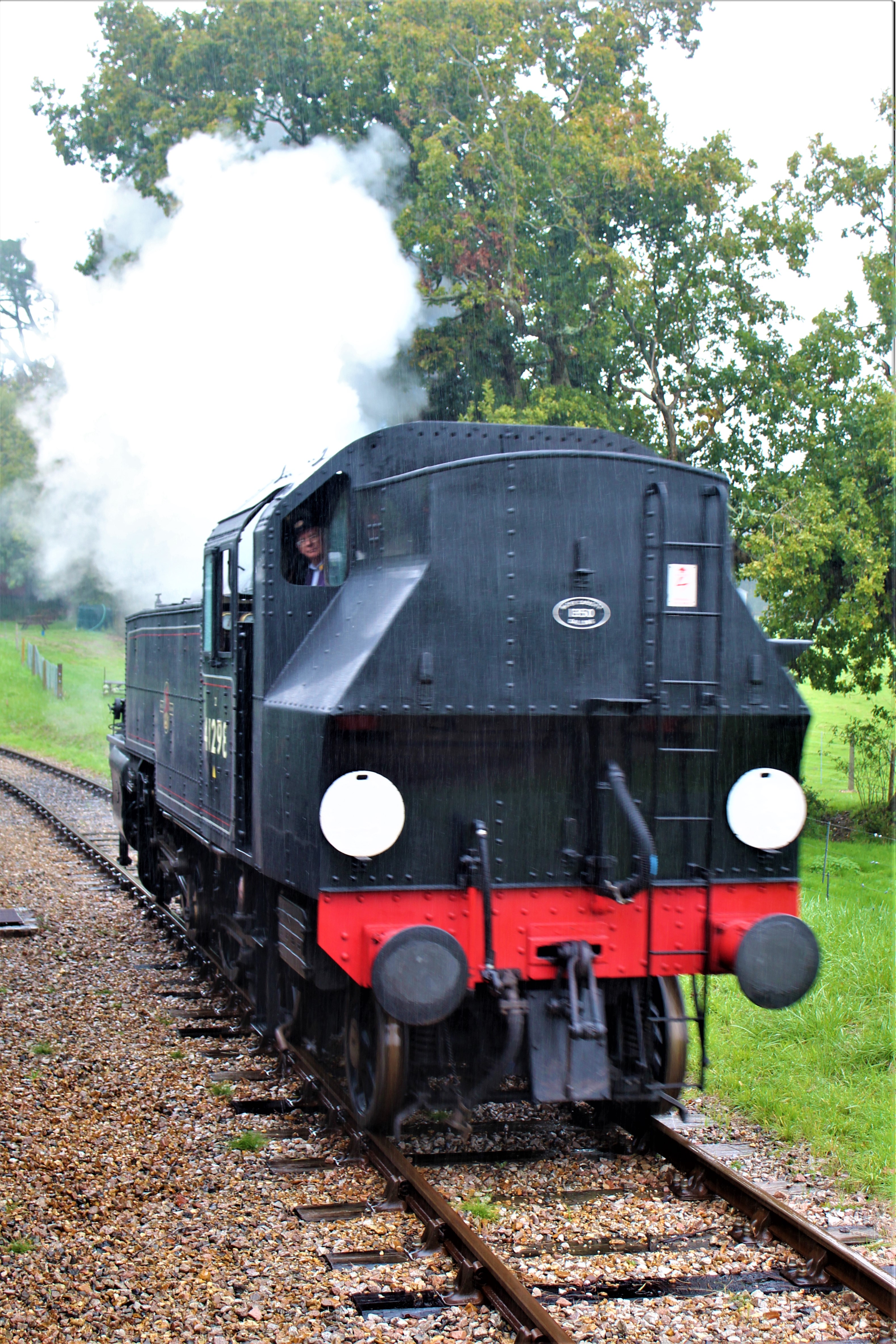 Isle of Wight steam railway
