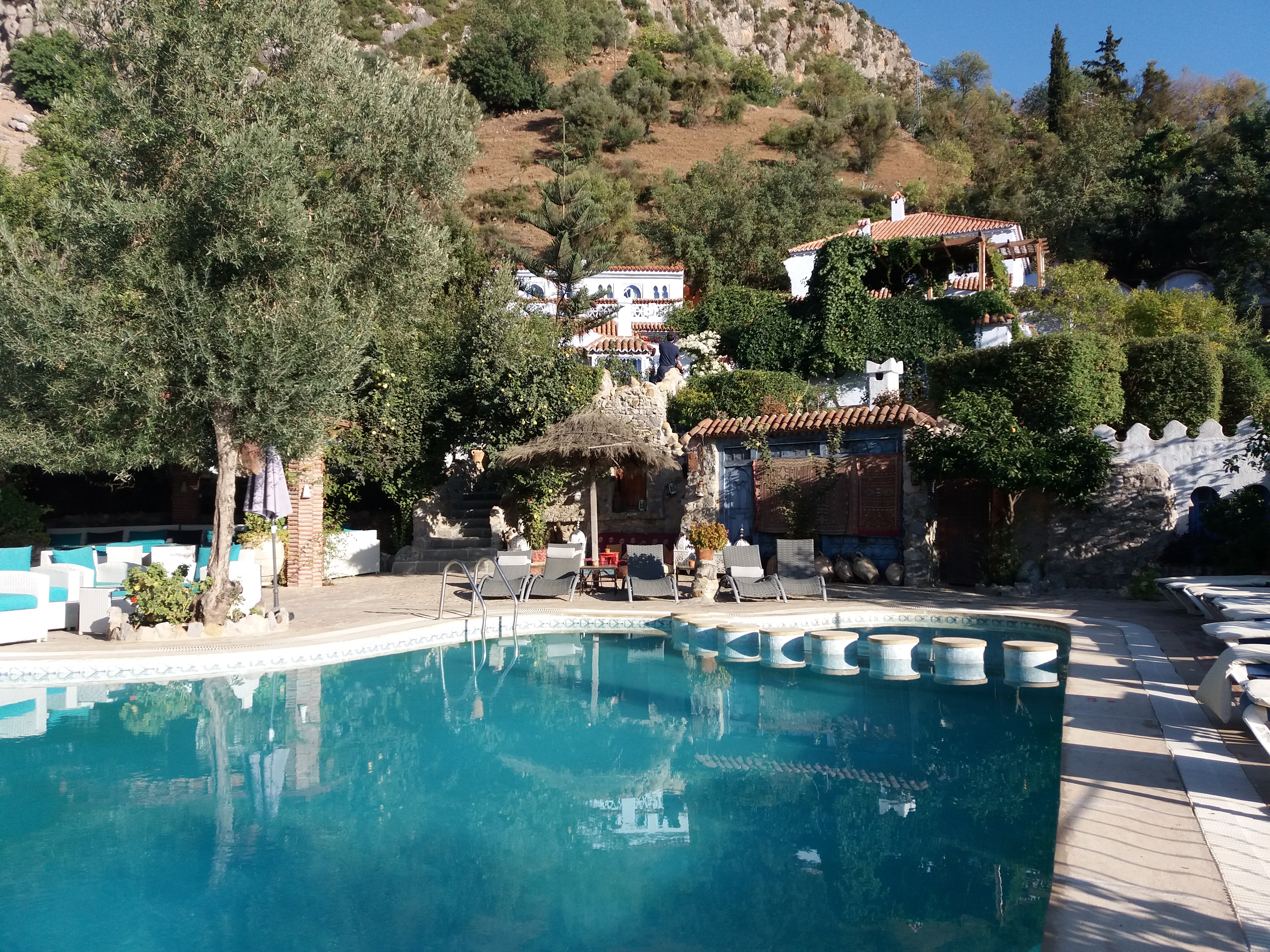Our hotel pool