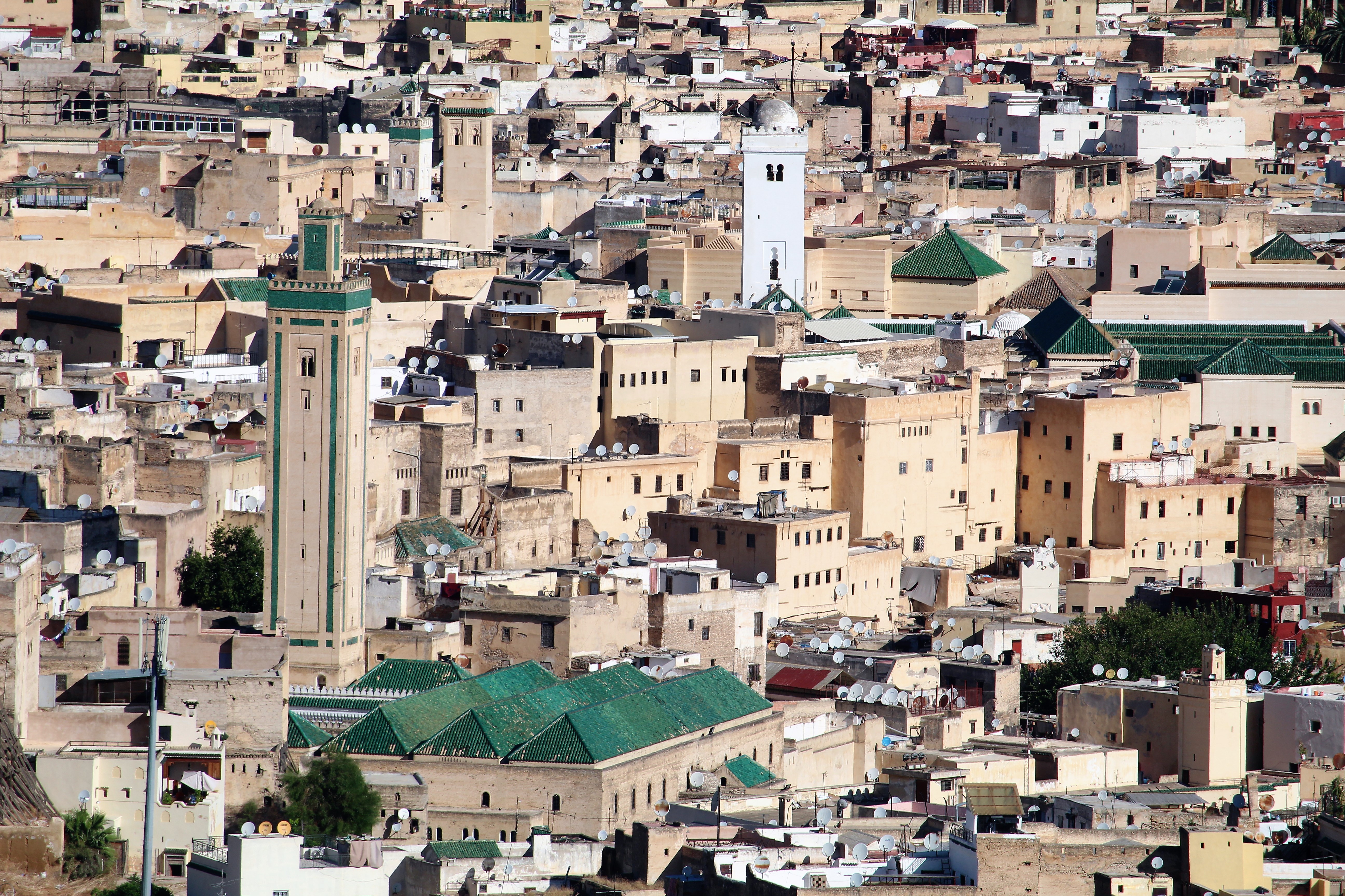 Fez Medina