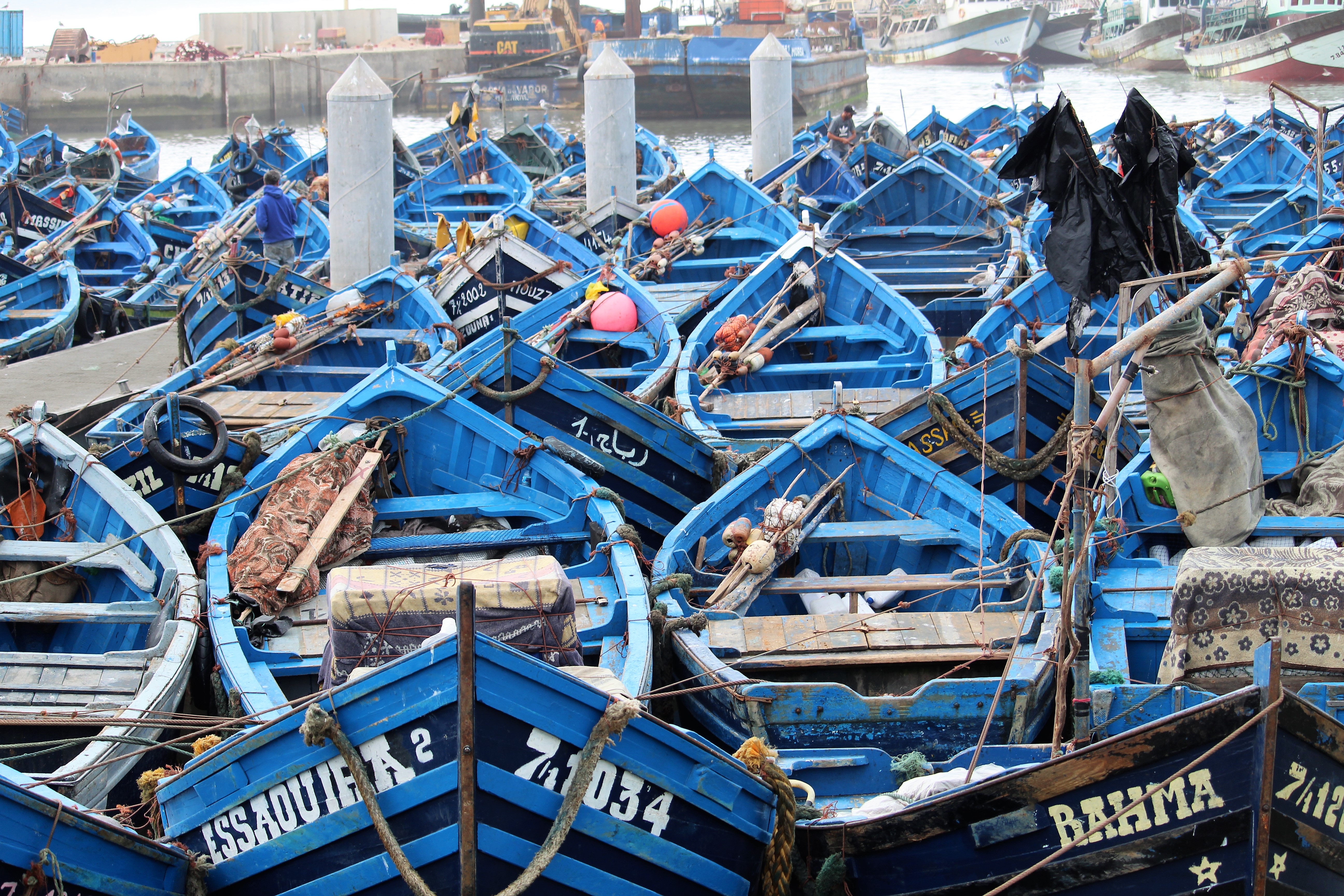 Local fishing boats in Essaouira