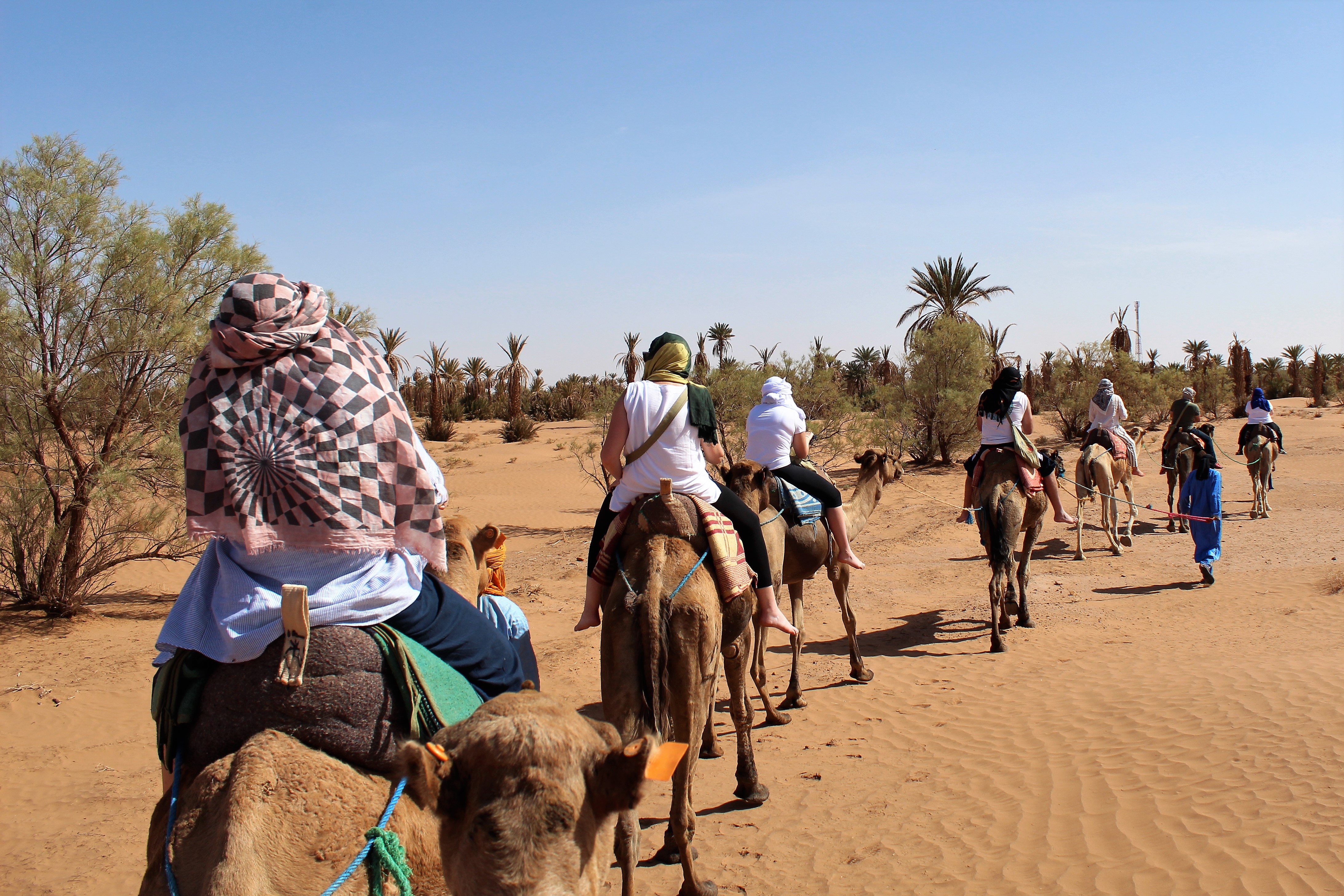Our group on our camel ride Our group on our camel ride