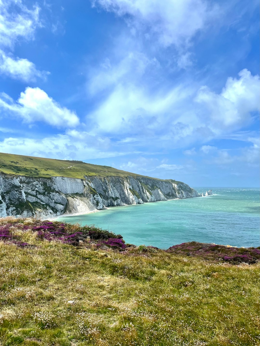Isle of Wight coast