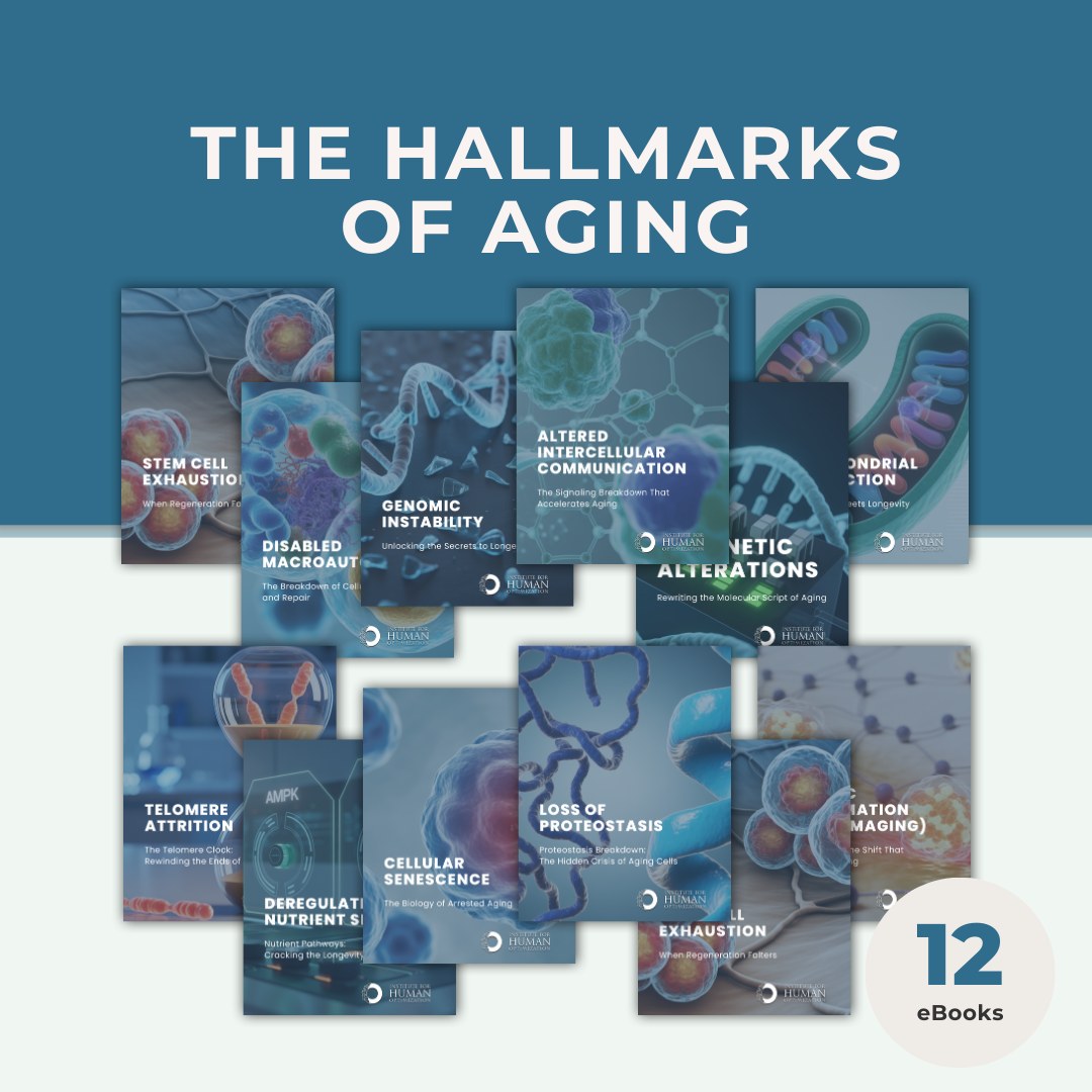 12 Hallmarks of Aging