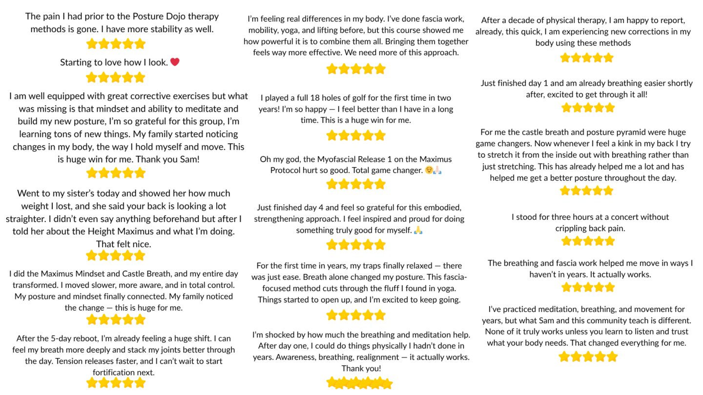 Wall of cohort testimonials with five-star ratings
