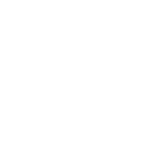 Water Slide Icon