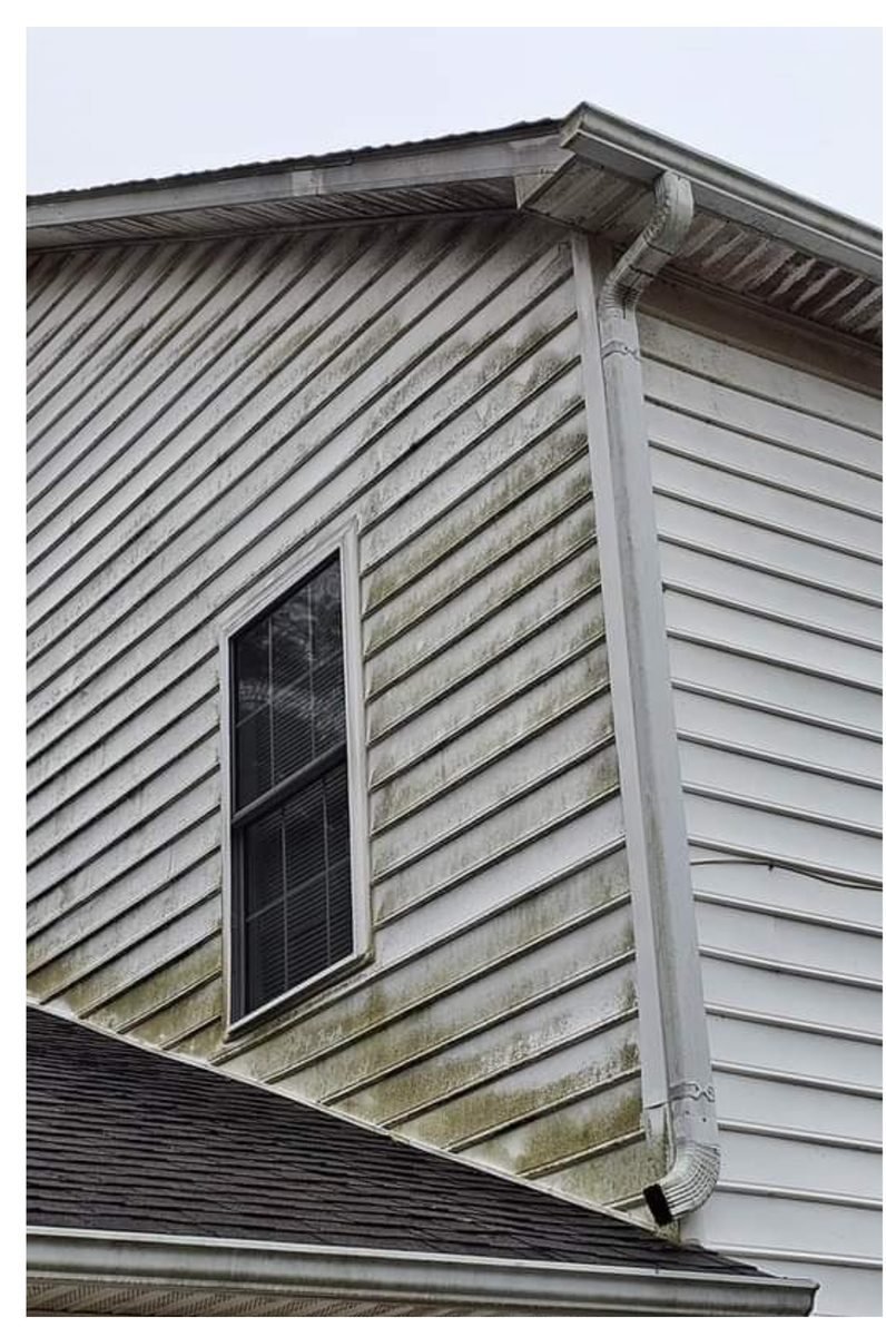 Vinyl siding before soft wash