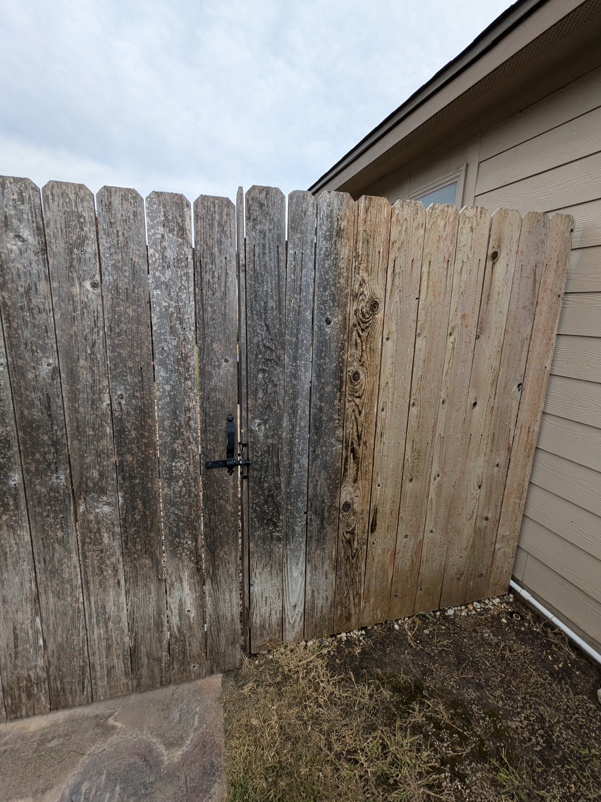 Wood picket fence and gate in Bell County before and after washing, gray mildew gone and grain showing