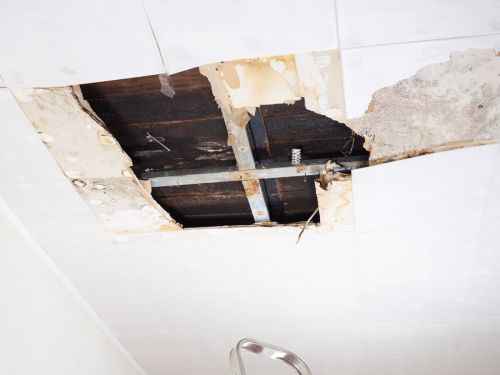  Ceiling Repair Services