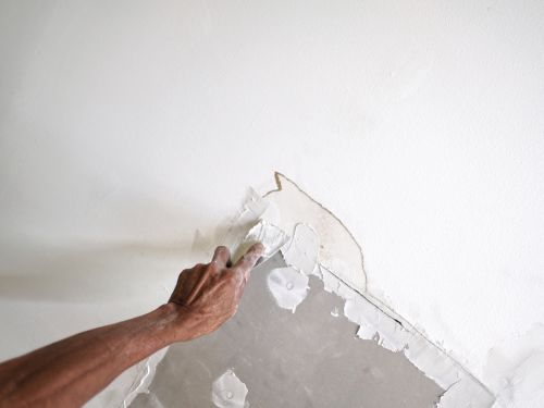 DeBary Ceiling Repair Services