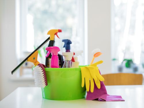 DeBary Property Cleanup Services