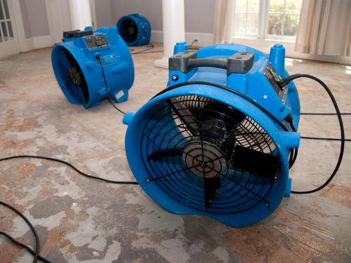 Water & Floor Damage Repairs in Daytona