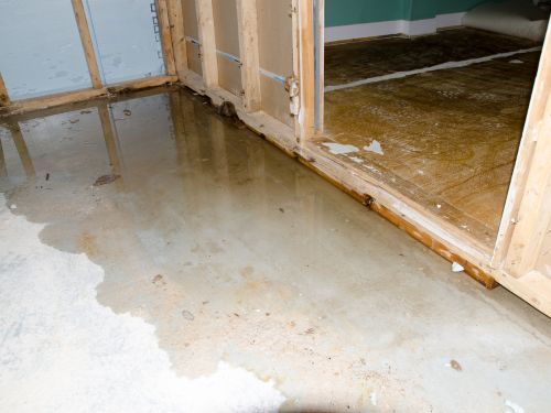 Daytona Water & Floor Damage Repairs